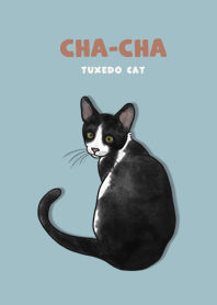 chacha cat / sea blue