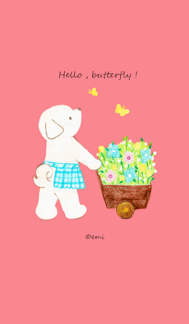 Hello,butterfly!