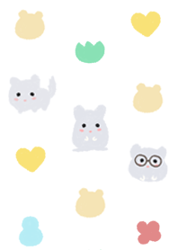 cute chinchilla