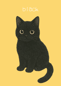 Round Black Cat2 on light yellow