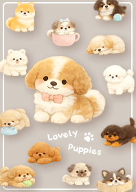 brown Lovely Fluffy Puppies