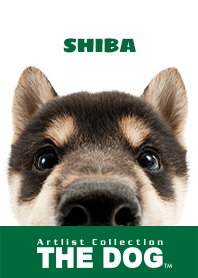 THE DOG Shiba 2