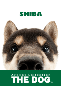 THE DOG 柴 2