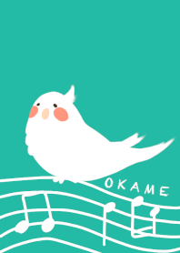 Okame parrot