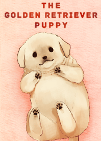 The Golden Retriever Puppy