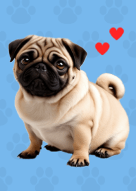 Fawn Pug Theme. Blue 01