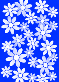 White Flower [ Blue ] Ver.1
