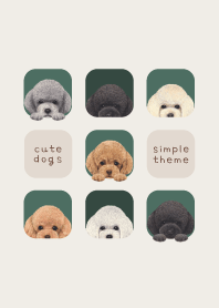 DOGS - Toy poodle - FOREST GREEN