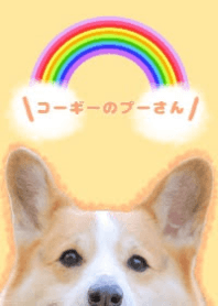 コーギーのプーさん