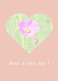 Cosmos and hearts -1-