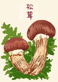 Matsutake mushrooms Simple