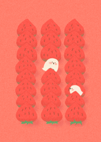 小白鳥: 草莓季