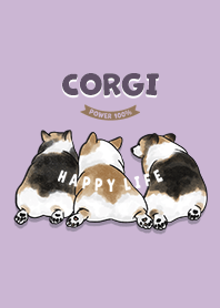 corgicorgi2 / grape