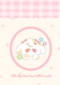 little dog drinking bottled water1