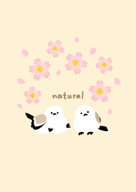 Long-tailed tit arch cherry blossoms18 J