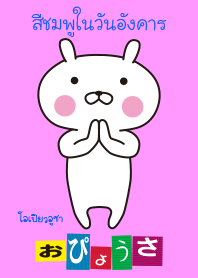 OPYOUSA ในภาษาไทย "ชมพูเมื่อวันอังคาร"