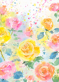 Beautiful rose flower(R4717)