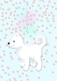 A White Dog in Spring