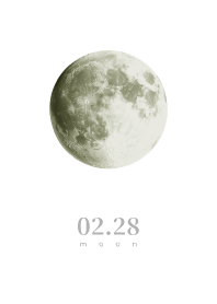 Moon - February 28th - White