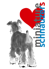 Miniature Schnauzer SP