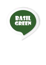 Basil Green Button In White V.3 (JP)