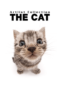 THE CAT