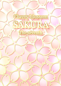 Cherry blossom SAKURA The seventh