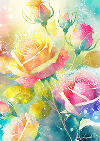 Beautiful rose flower(R2052)