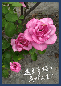 潔西女孩-遇見幸福，美好人生。