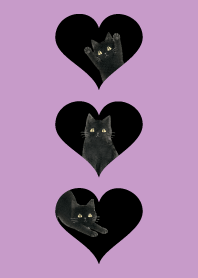 A unique cat19 light purple