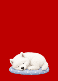 Baby Samoyed02 red & beige JP