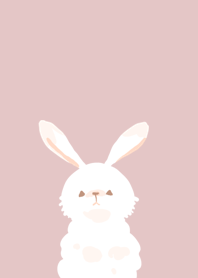 Sweet cute Rabbit