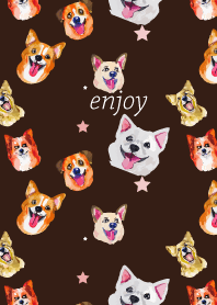 dogs on brown