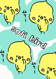 Soft birds