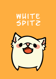 White Spitz
