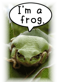 I am a frog!(Theme)