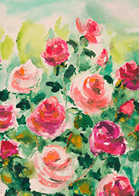 Beautiful rose flower(R4595)