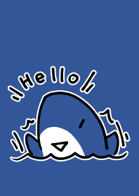 Q shark theme