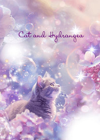 Cat and hydrangea