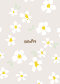 white flower adult color21 from Japan