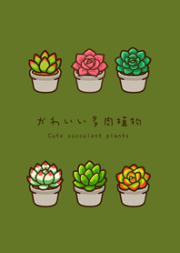 My succulent plants(Matcha green)