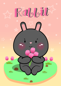 Cute Black Rabbit In Pastel Theme