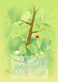 Natural Style (Cherries)