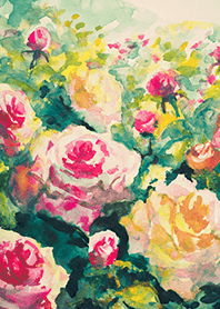 Beautiful rose flower(R4637)