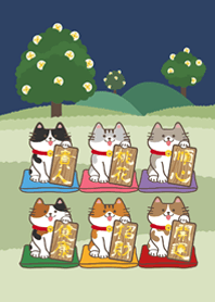 แมวนำโชคในป่า！(มิดไนท์บลู)