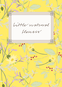 Little natural flowers 20