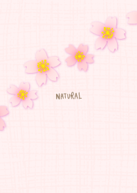 Cherry blossoms diagonal29 from Japan