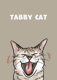 tabbycat4 / khaki