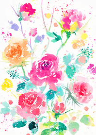 Beautiful rose flower(R4271)