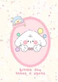 Little dog takes  a photo1